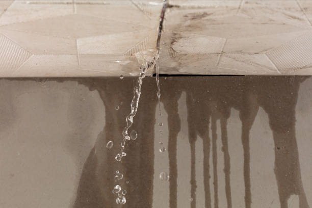Professional Burst Pipe Cleanup technician working in Everson, WA